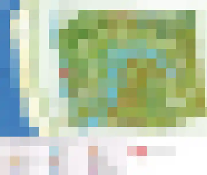 Sneeuwgors 7 Zoutelande thumbnail 42