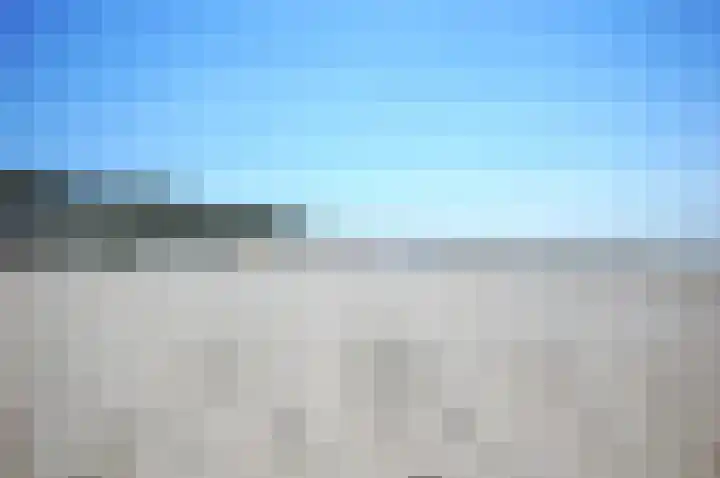 Sneeuwgors 7 Zoutelande thumbnail 45