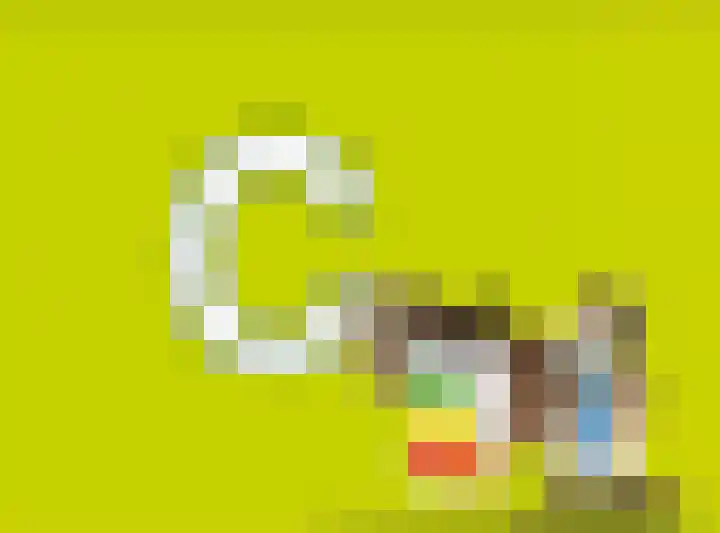 Sneeuwgors 7 Zoutelande thumbnail 46