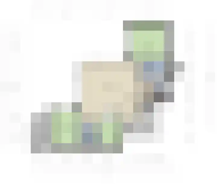 Sneeuwgors 7 Zoutelande thumbnail 47