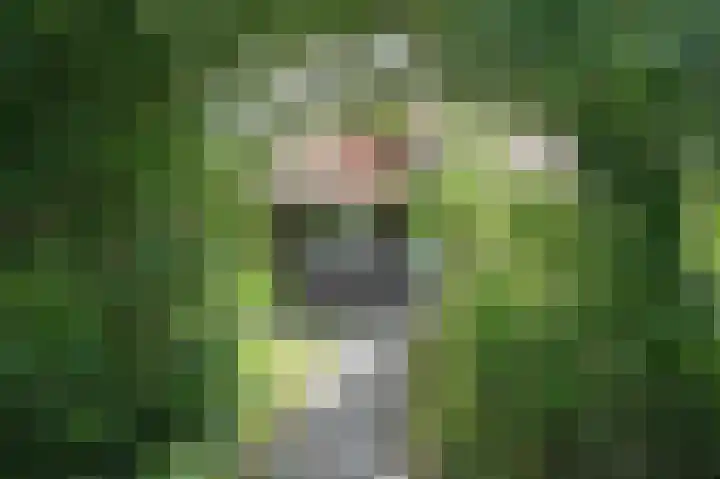 Sneeuwgors 7 Zoutelande thumbnail 5