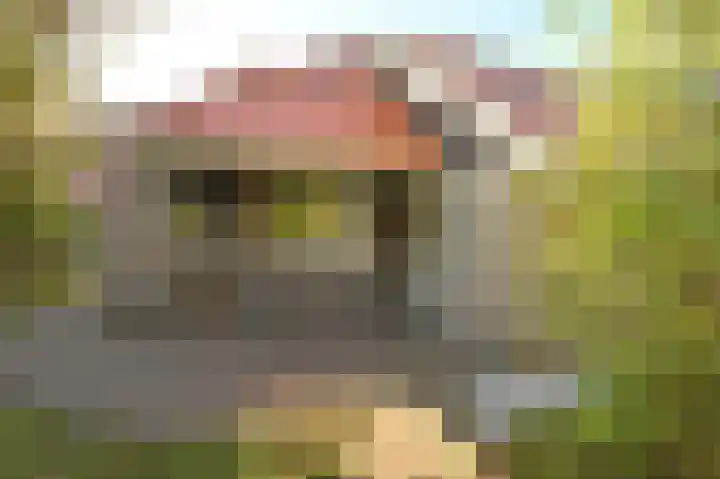 Sneeuwgors 7 Zoutelande thumbnail 7