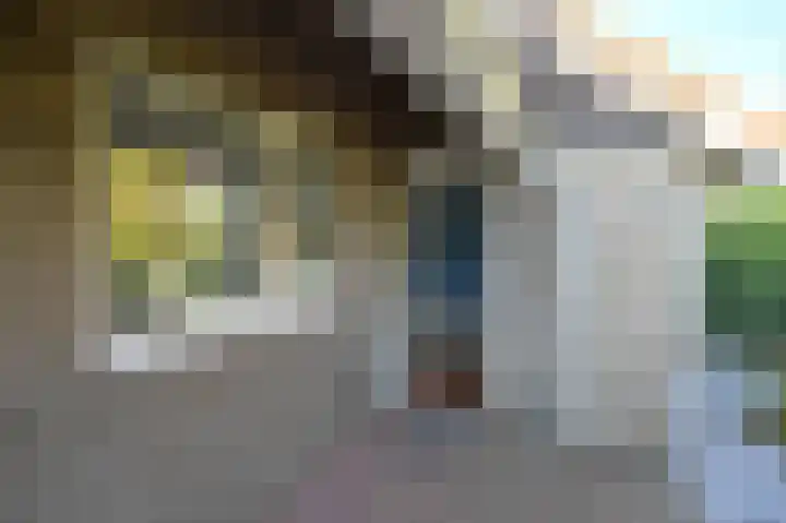 Sneeuwgors 7 Zoutelande thumbnail 8
