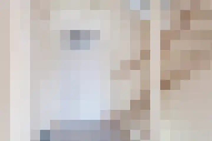 Sneeuwgorshof 14 Nuenen thumbnail 14
