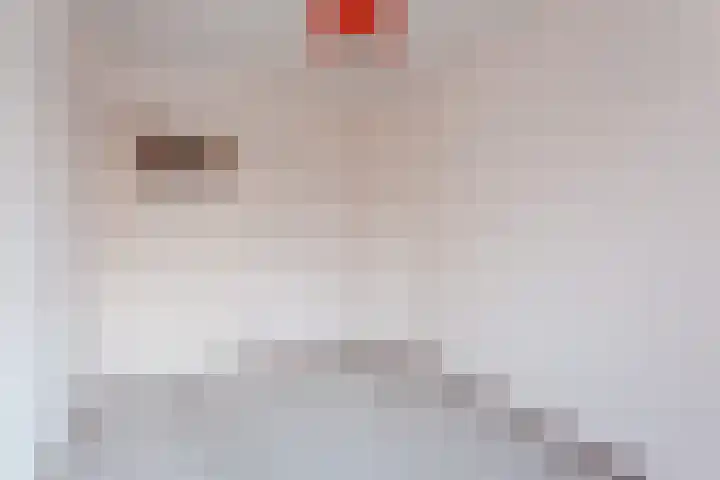 Sneeuwgorshof 14 Nuenen thumbnail 22