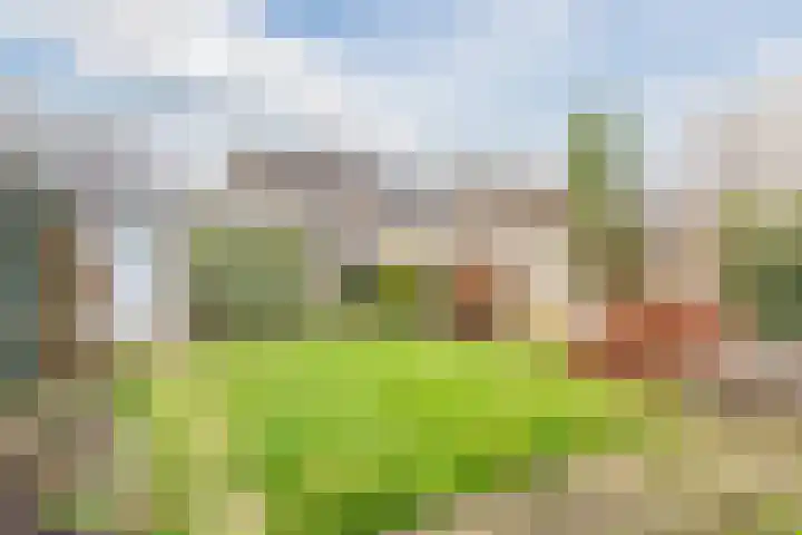 Sneeuwgorshof 14 Nuenen thumbnail 34