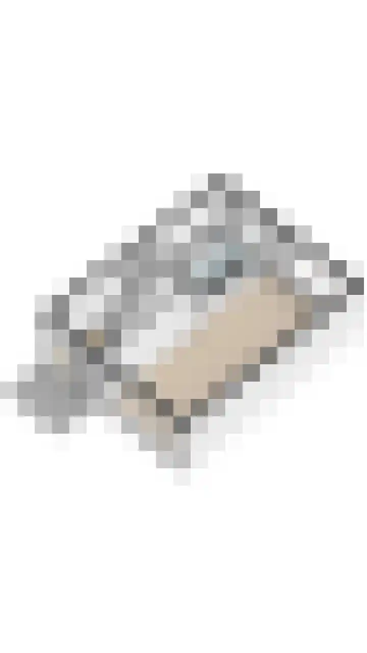 Sneeuwgorshof 14 Nuenen thumbnail 45