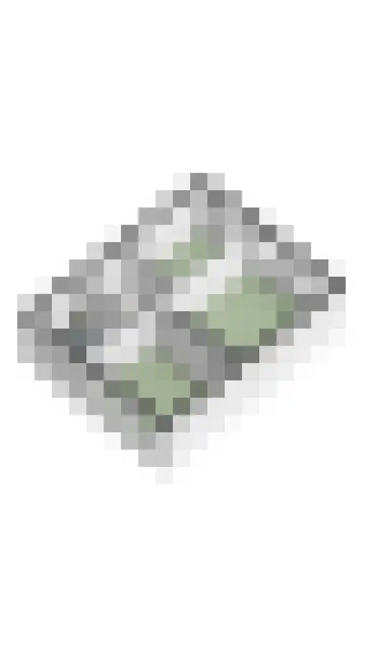 Sneeuwgorshof 14 Nuenen thumbnail 46