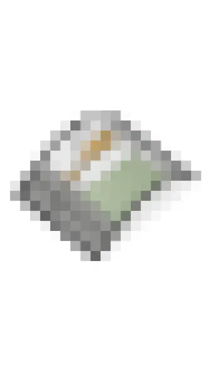 Sneeuwgorshof 14 Nuenen thumbnail 47