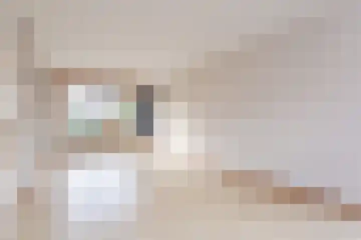Sneeuwgorshof 14 Nuenen thumbnail 7