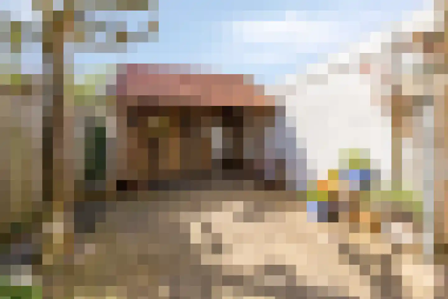 Sneeuwgorshof 16 Nuenen thumbnail 23