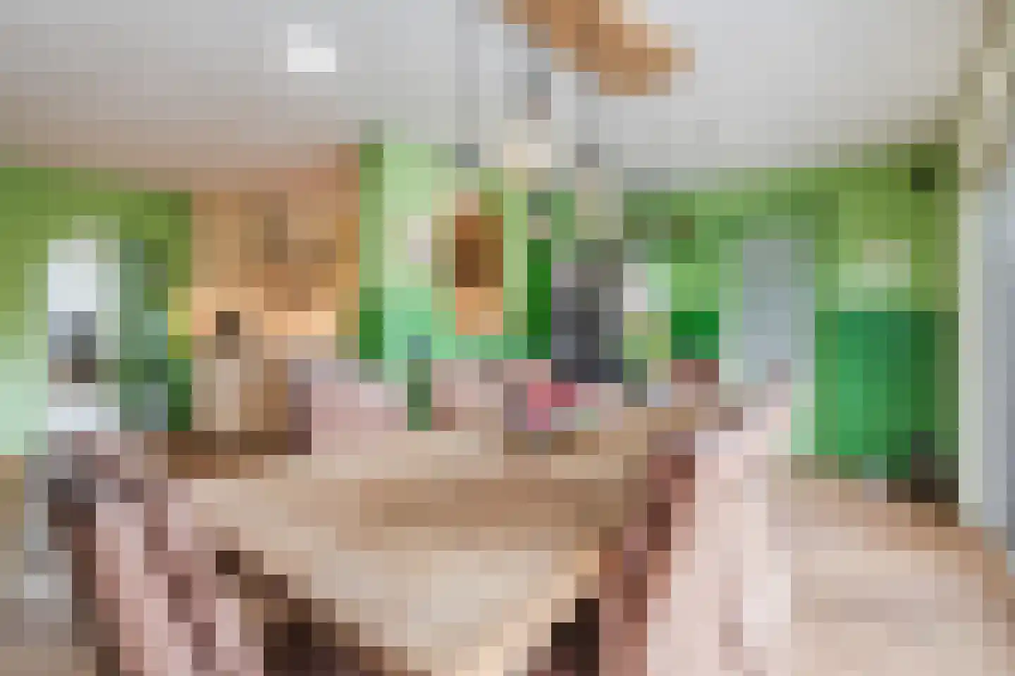 Sneeuwheide 15 Helmond thumbnail 14