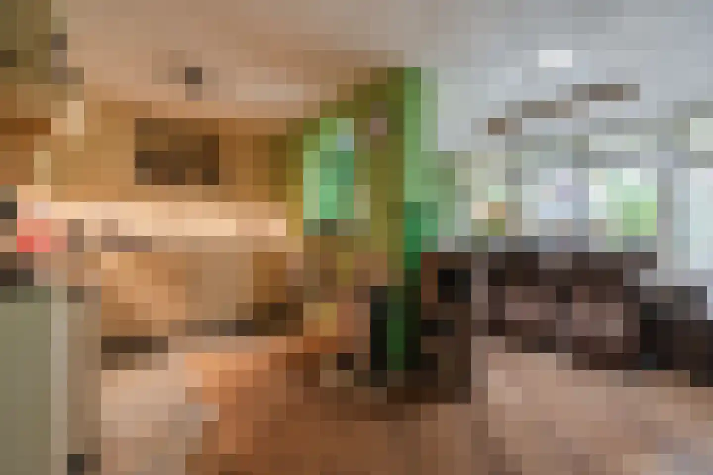 Sneeuwheide 15 Helmond thumbnail 17