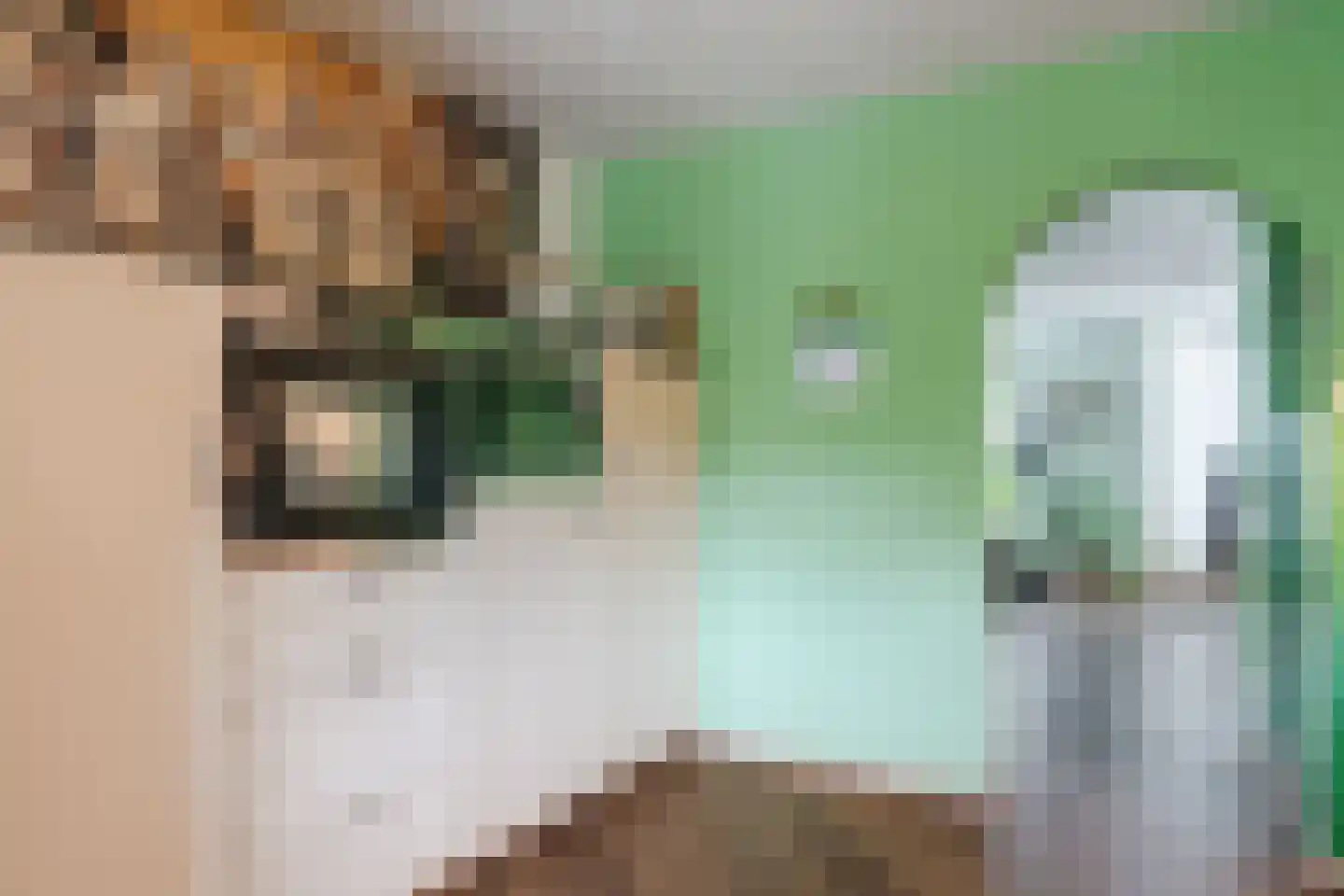 Sneeuwheide 15 Helmond thumbnail 22
