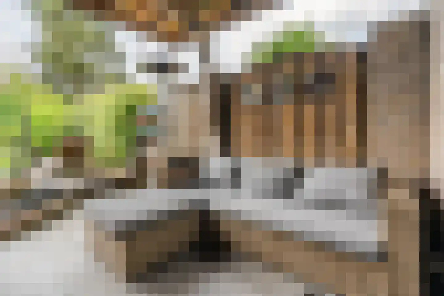 Sneeuwheide 15 Helmond thumbnail 39