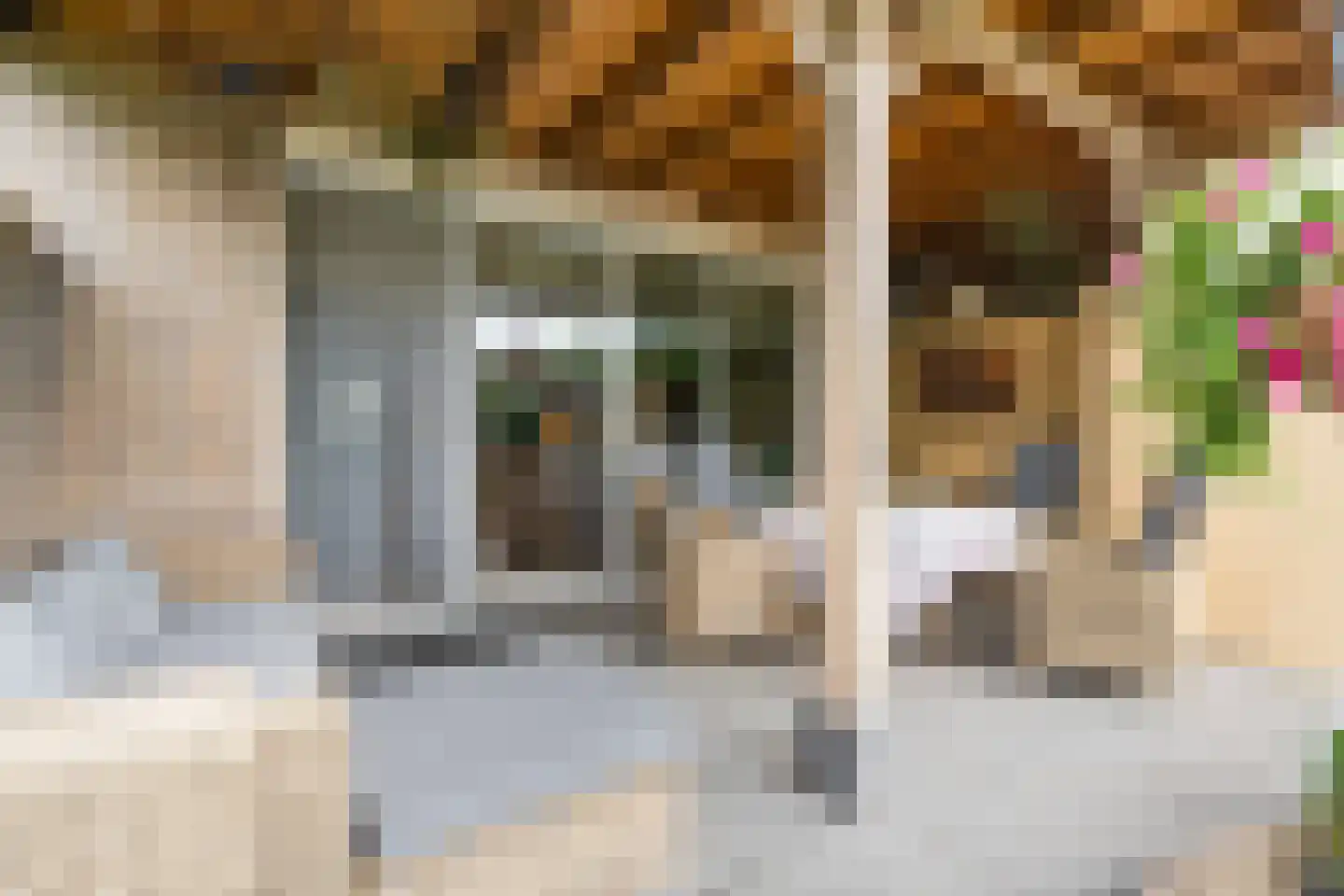 Sneeuwheide 15 Helmond thumbnail 41