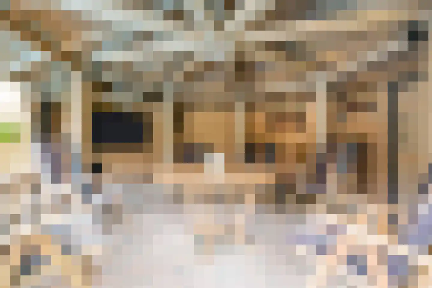 Sneeuwheide 15 Helmond thumbnail 51