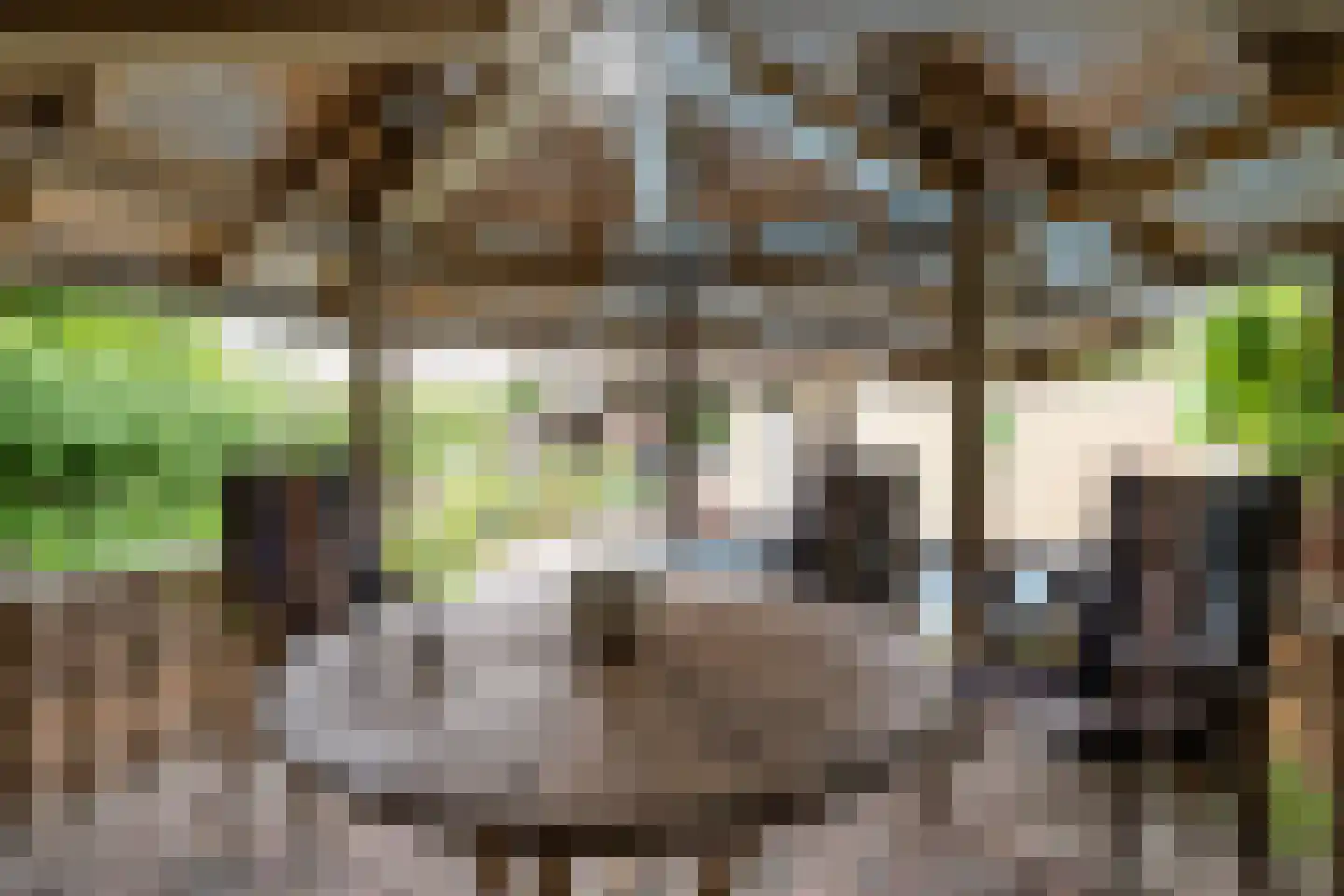 Sneeuwheide 15 Helmond thumbnail 52