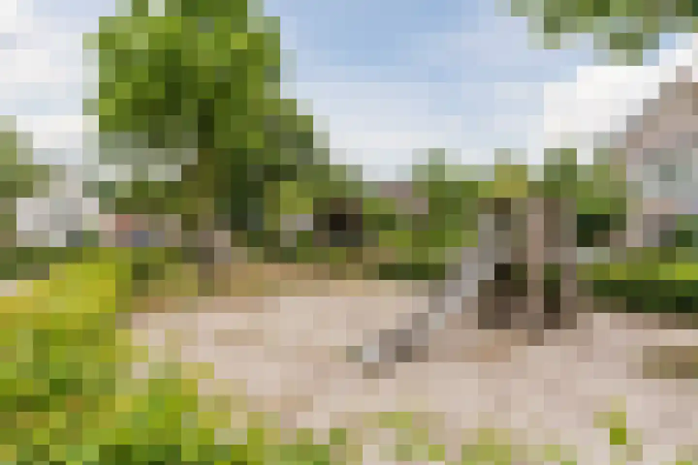 Sneeuwheide 15 Helmond thumbnail 57