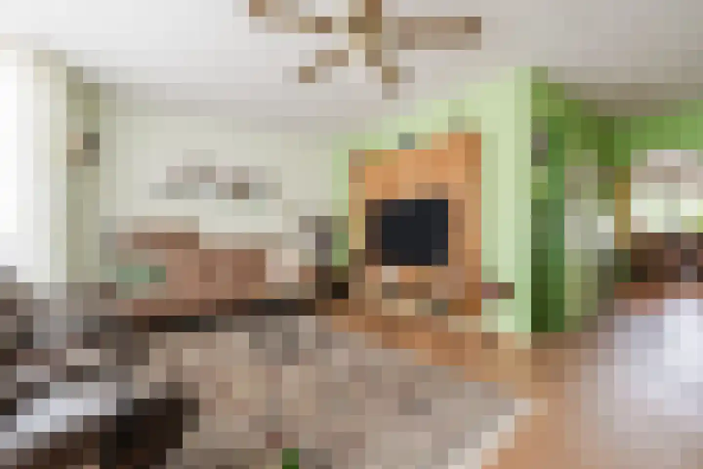 Sneeuwheide 15 Helmond thumbnail 9
