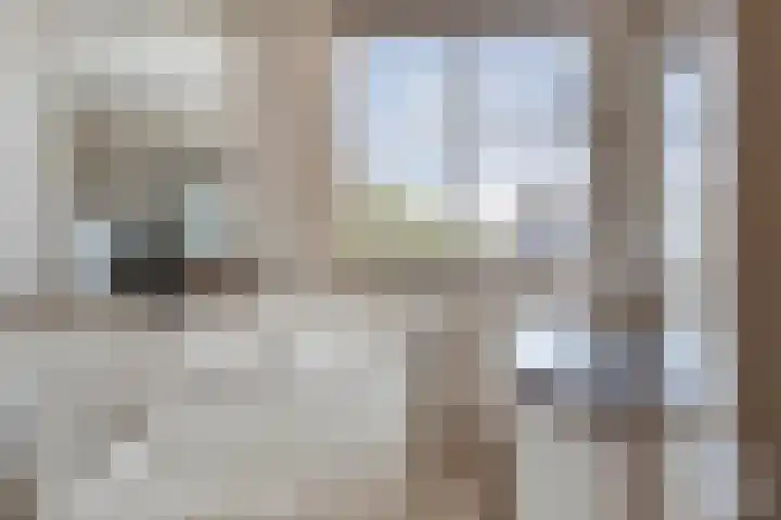 Sneeuwheide 36 Helmond thumbnail 28