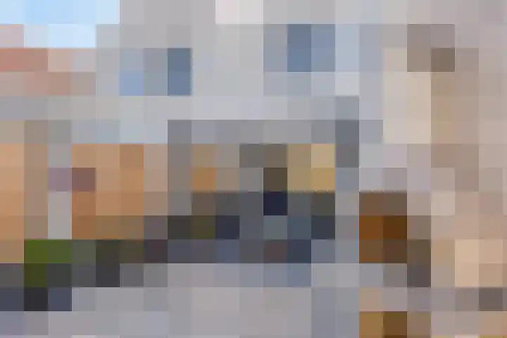 Sneeuwheide 36 Helmond thumbnail 37