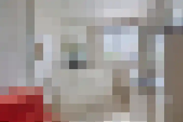 Sneeuwheide 36 Helmond thumbnail 4