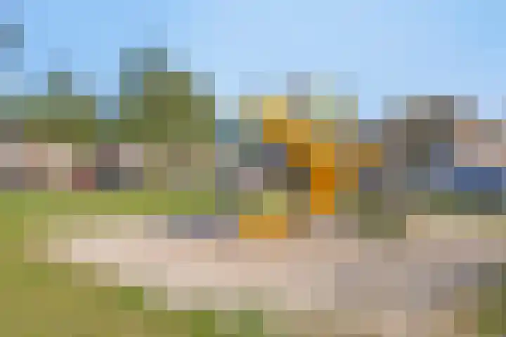 Sneeuwheide 36 Helmond thumbnail 44