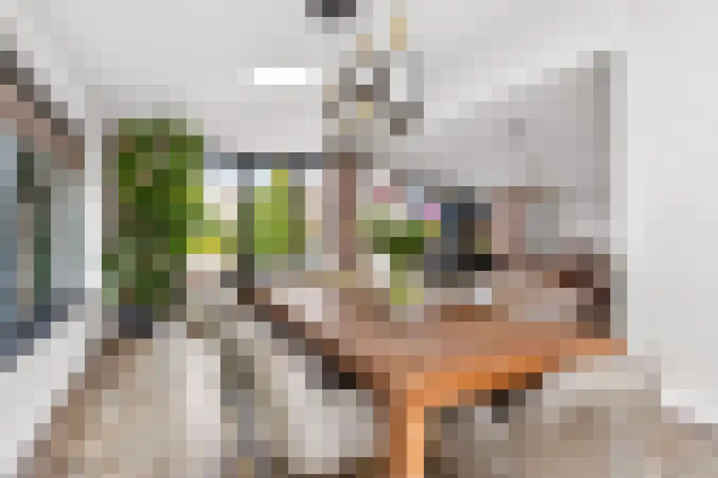 Sneeuwjacht 1 De Meern thumbnail 15