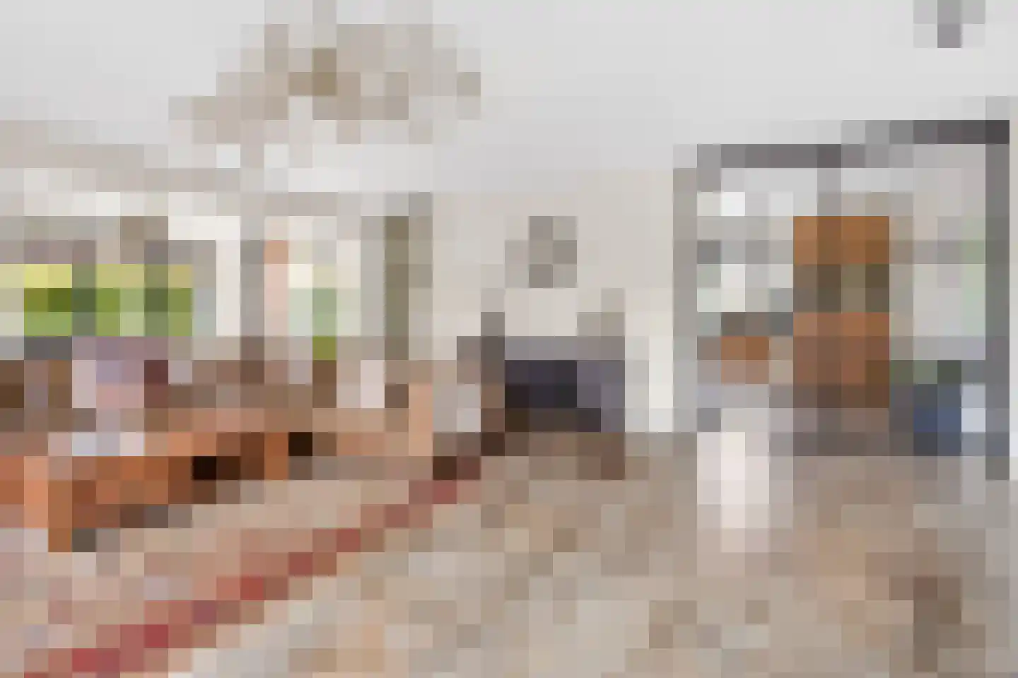 Sneeuwjacht 1 De Meern thumbnail 27