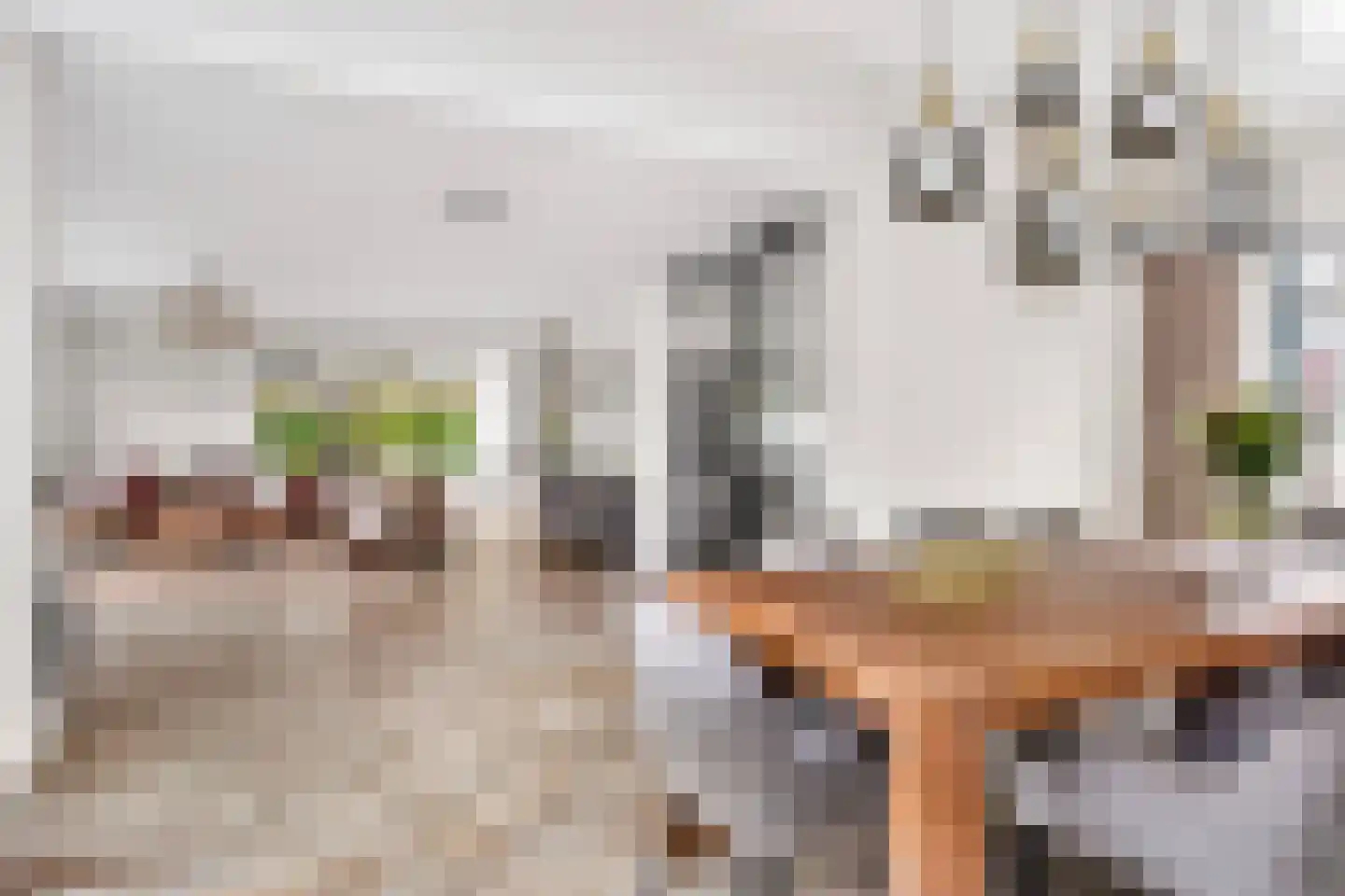 Sneeuwjacht 1 De Meern thumbnail 4
