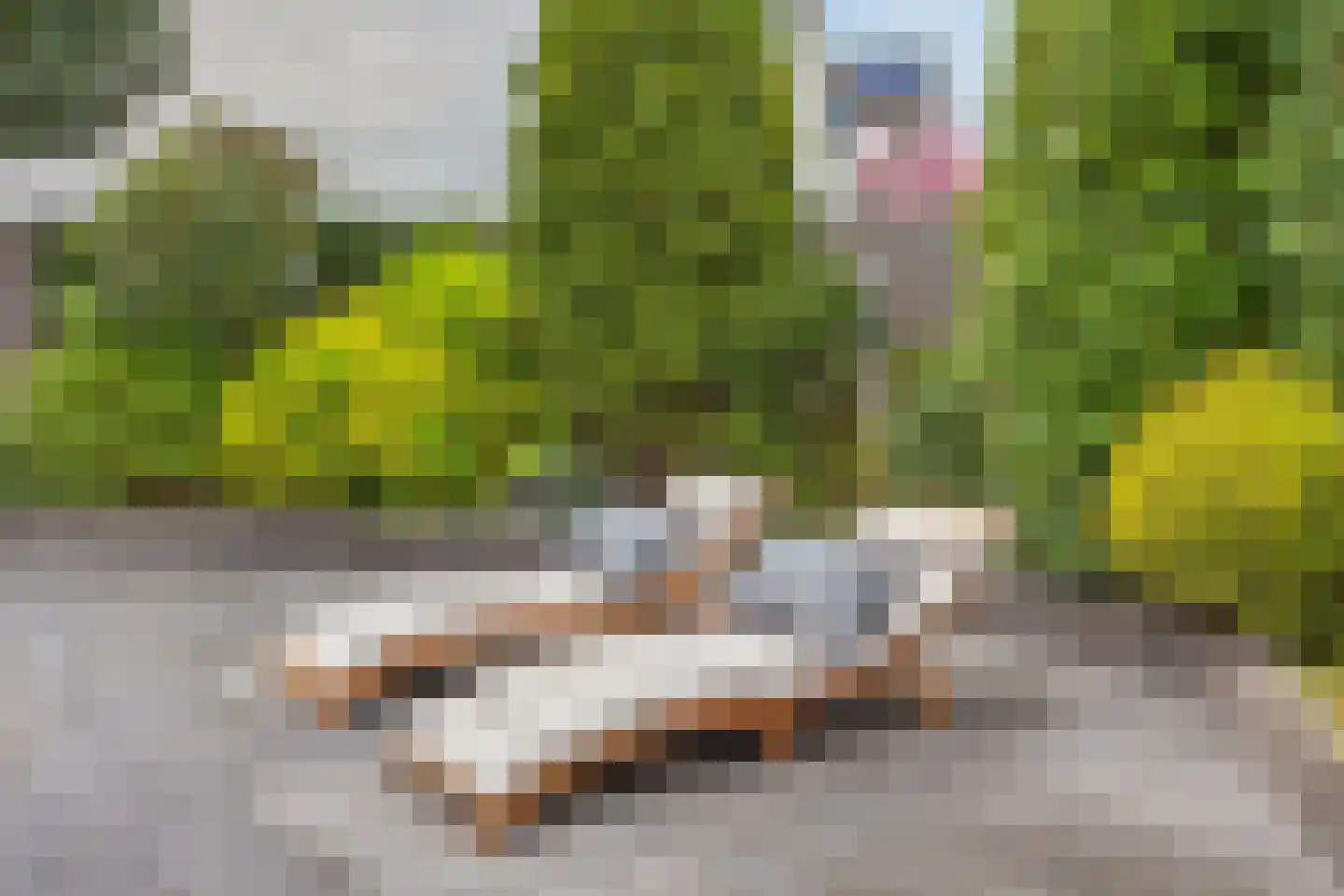 Sneeuwjacht 1 De Meern thumbnail 42