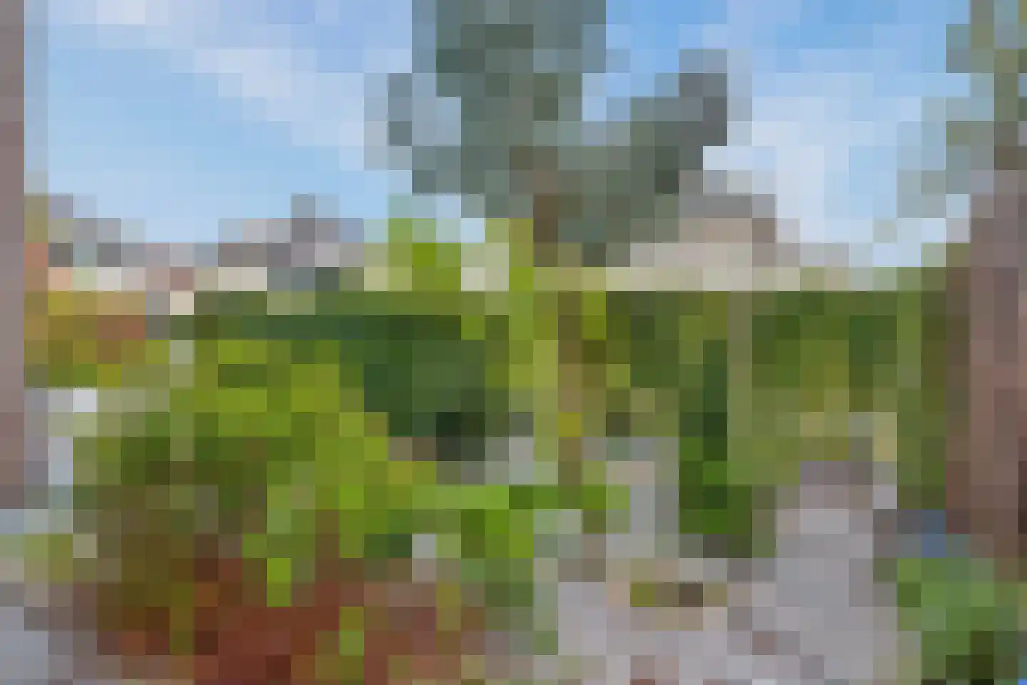 Sneeuwjacht 1 De Meern thumbnail 44