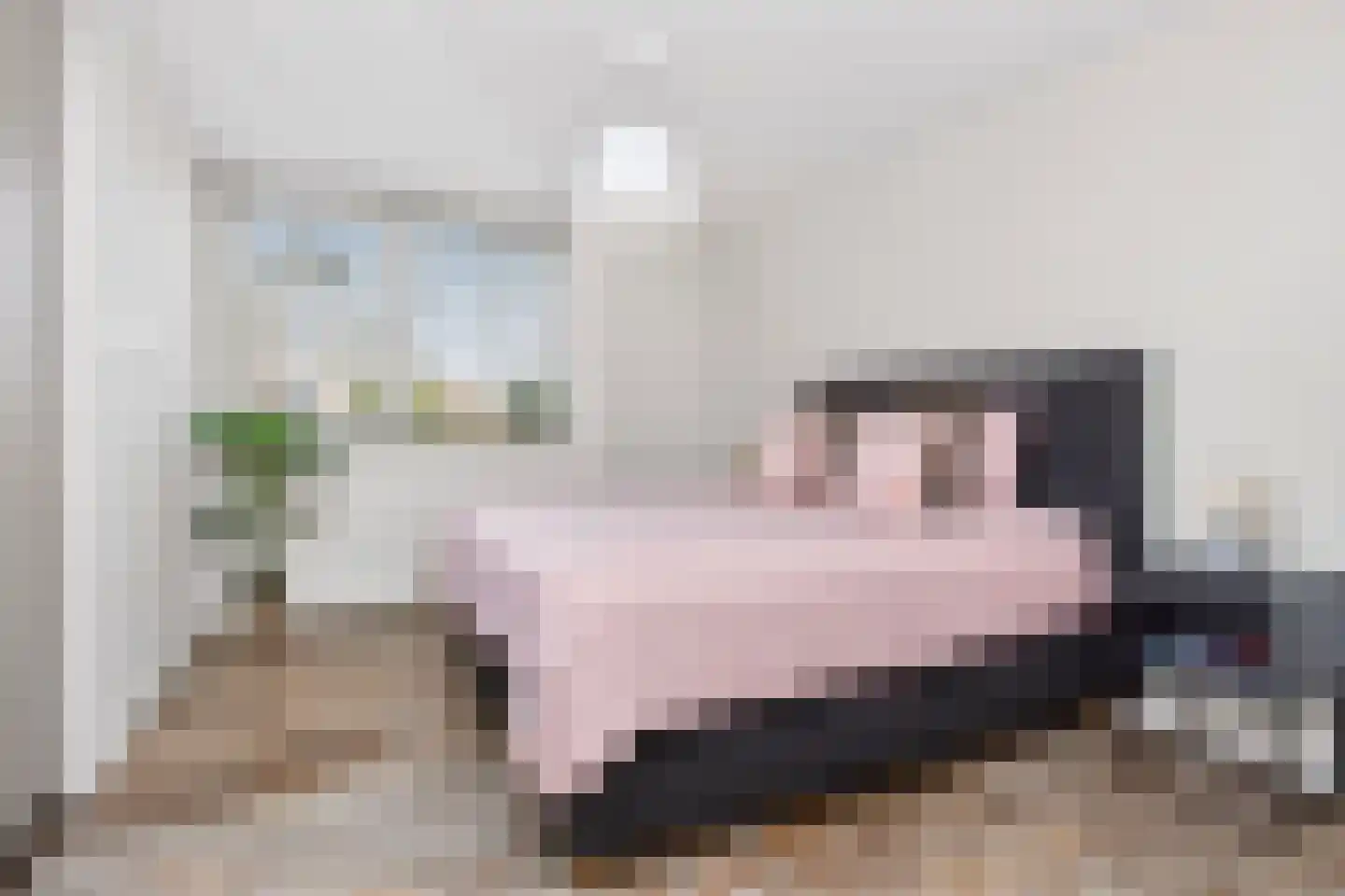 Sneeuwjacht 1 De Meern thumbnail 53