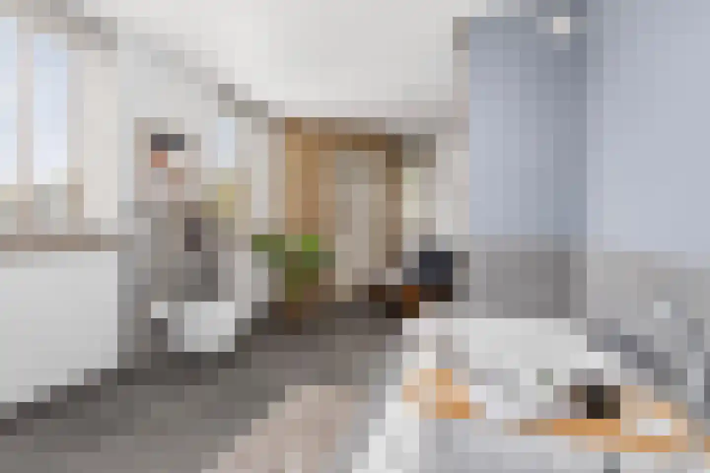 Sneeuwjacht 1 De Meern thumbnail 56