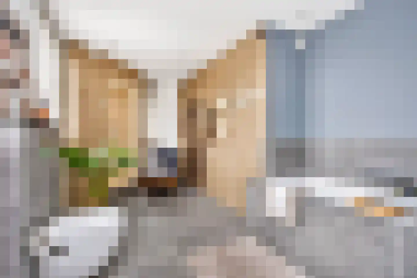 Sneeuwjacht 1 De Meern thumbnail 57