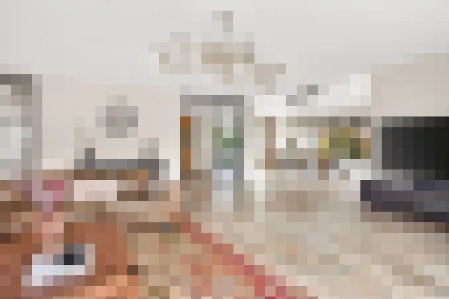 Sneeuwjacht 1 De Meern thumbnail 6