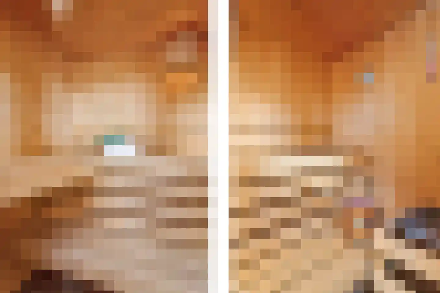 Sneeuwjacht 1 De Meern thumbnail 61