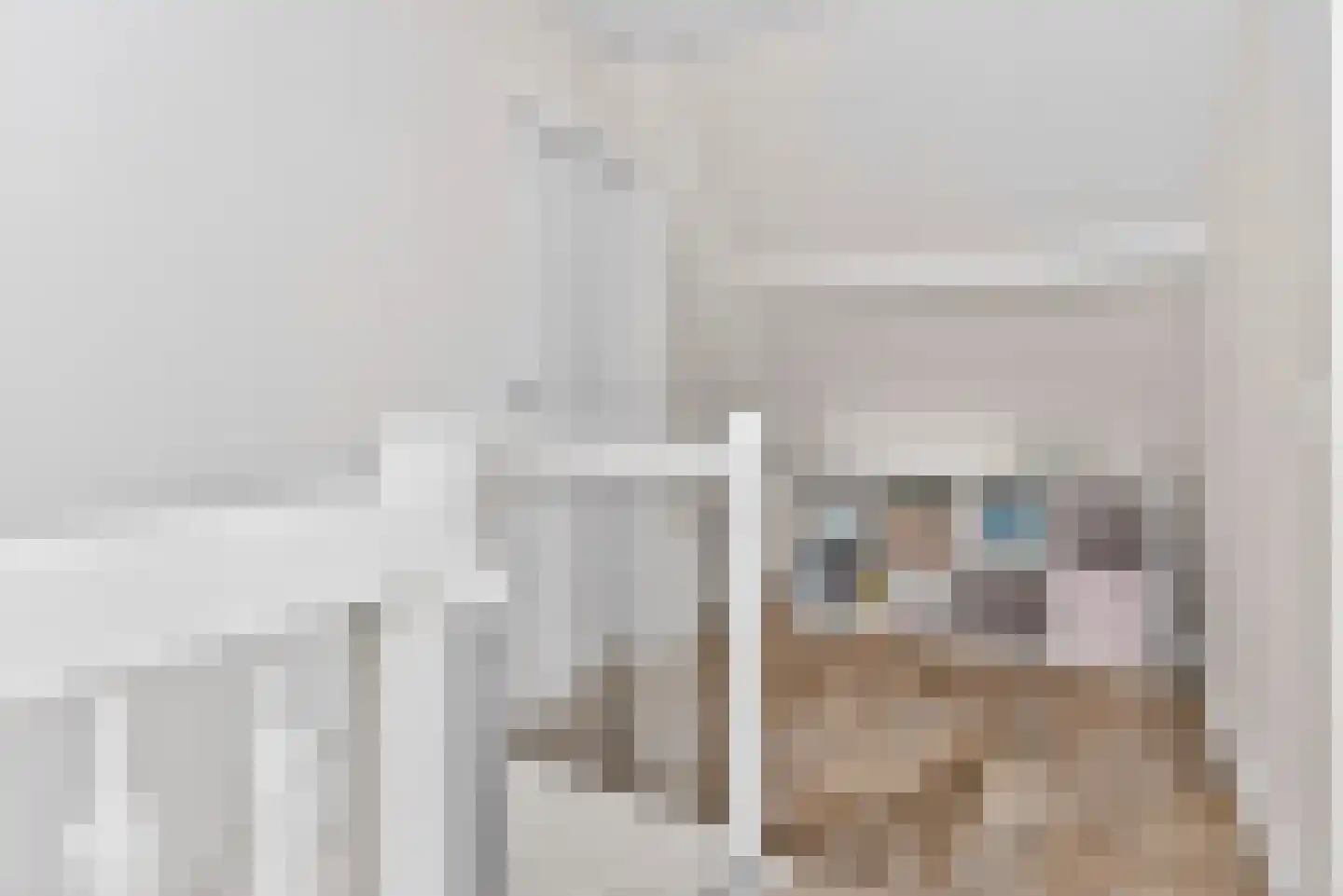 Sneeuwjacht 1 De Meern thumbnail 65