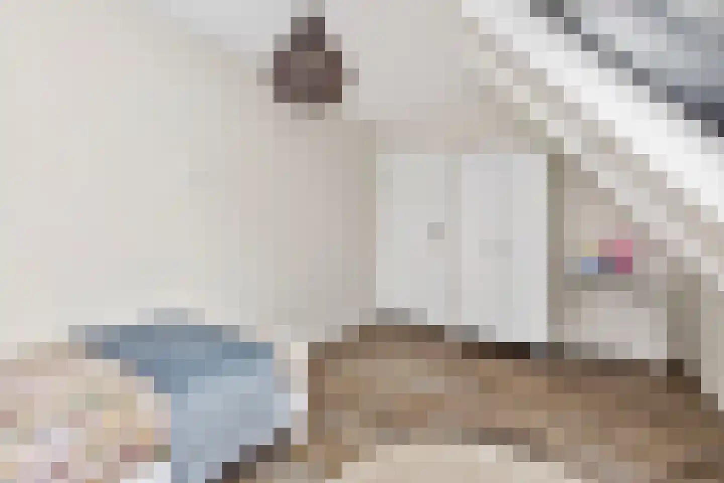 Sneeuwjacht 1 De Meern thumbnail 69