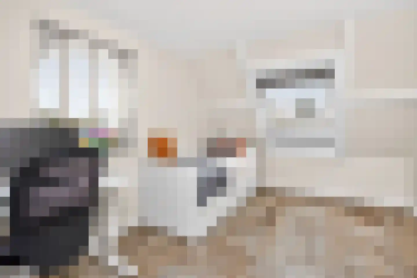Sneeuwjacht 1 De Meern thumbnail 70