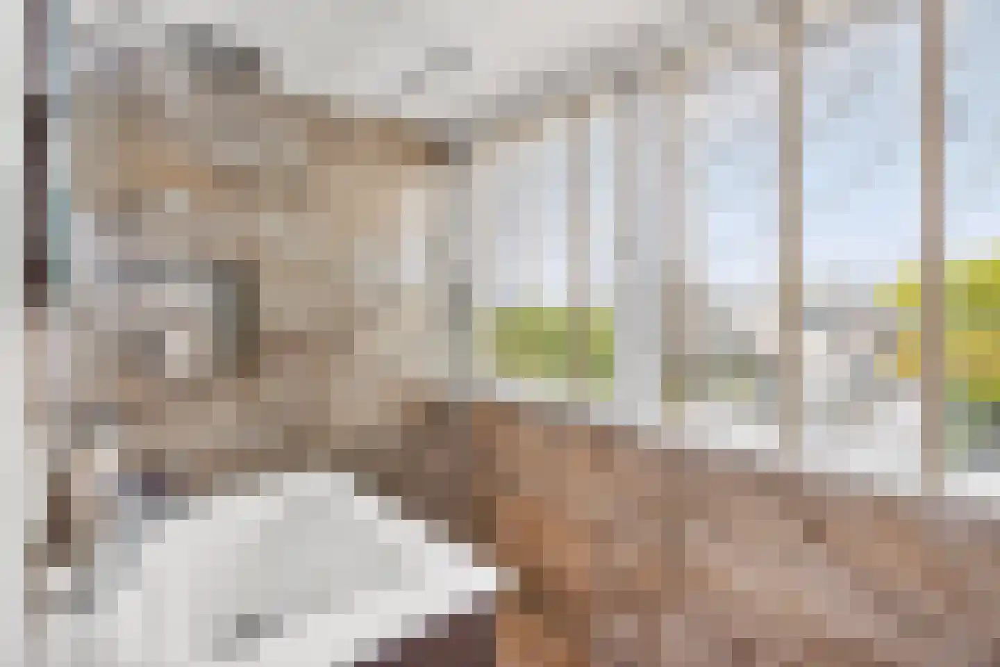 Sneeuwjacht 1 De Meern thumbnail 75
