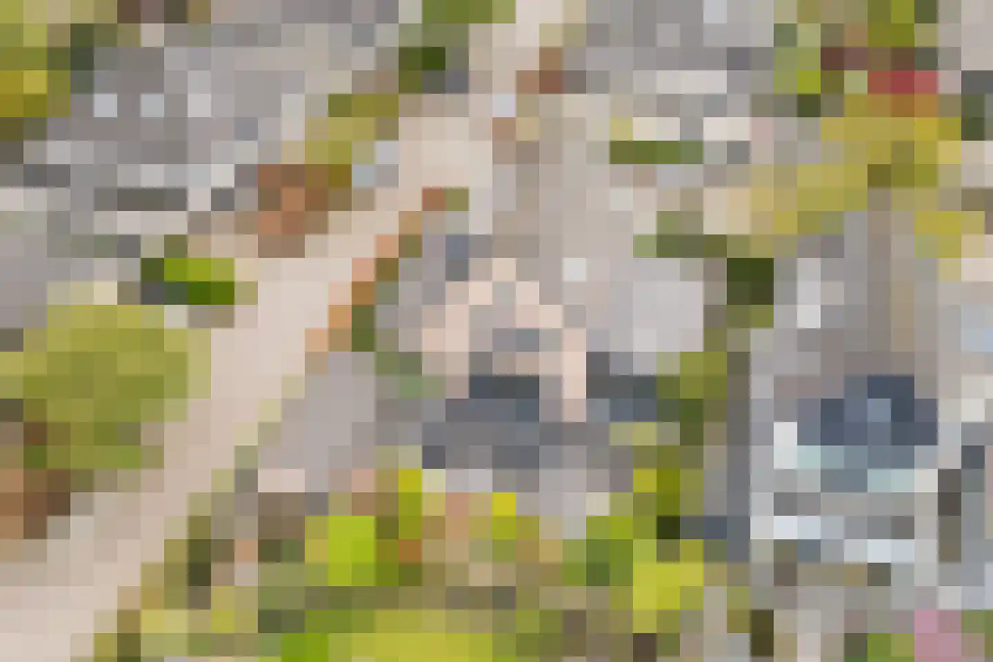 Sneeuwjacht 1 De Meern thumbnail 80