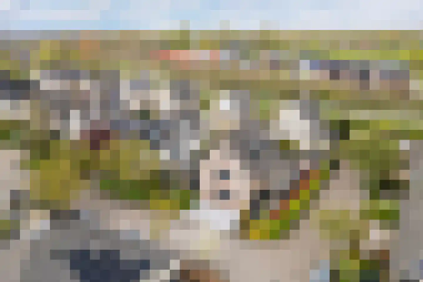 Sneeuwjacht 1 De Meern thumbnail 81