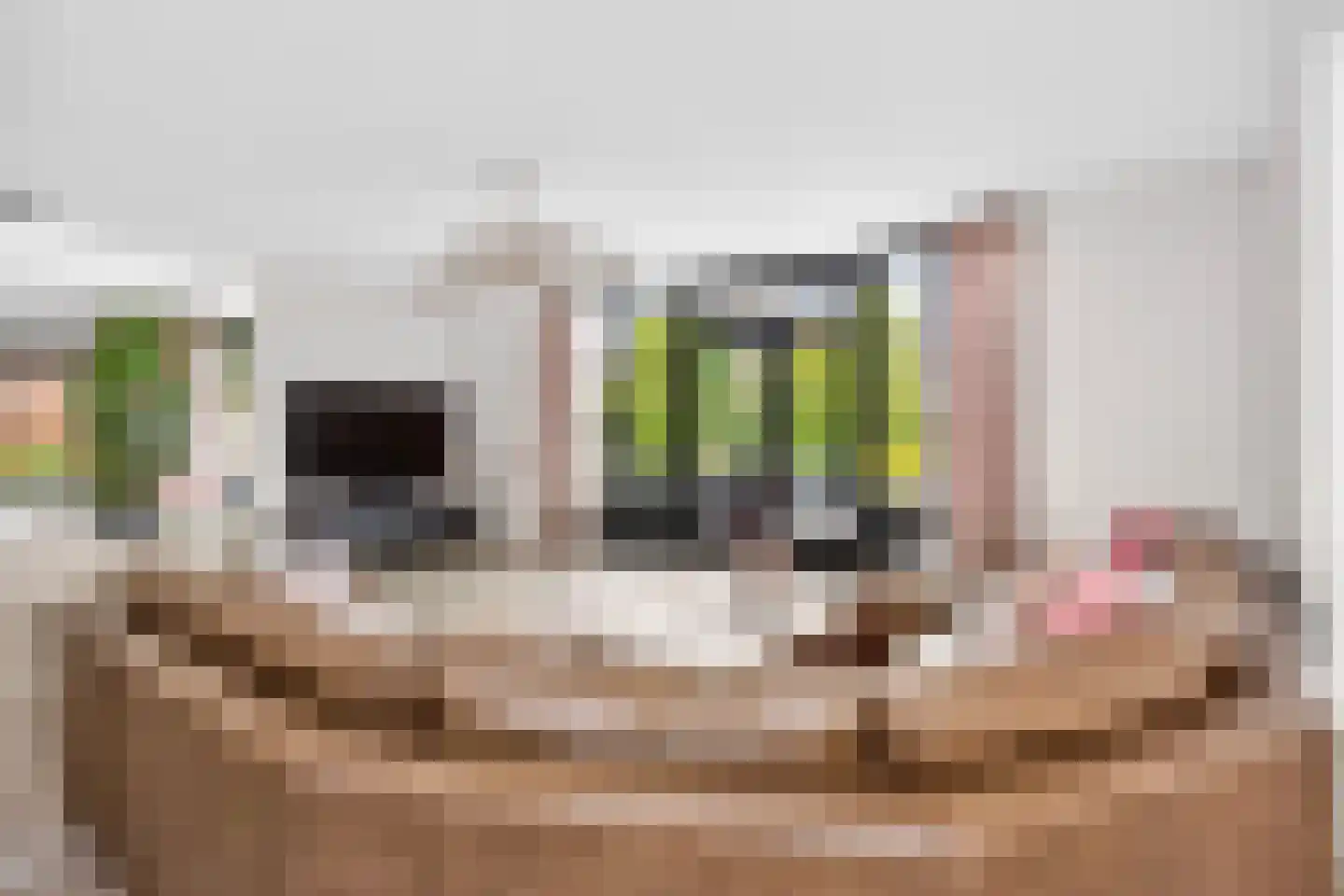Sneeuwjacht 1 De Meern thumbnail 9