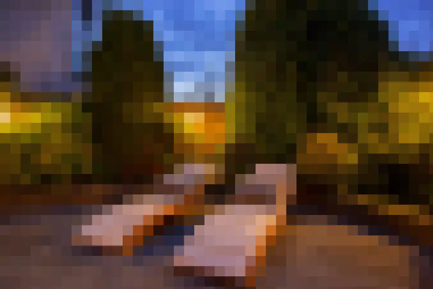 Sneeuwjacht 1 De Meern thumbnail 91