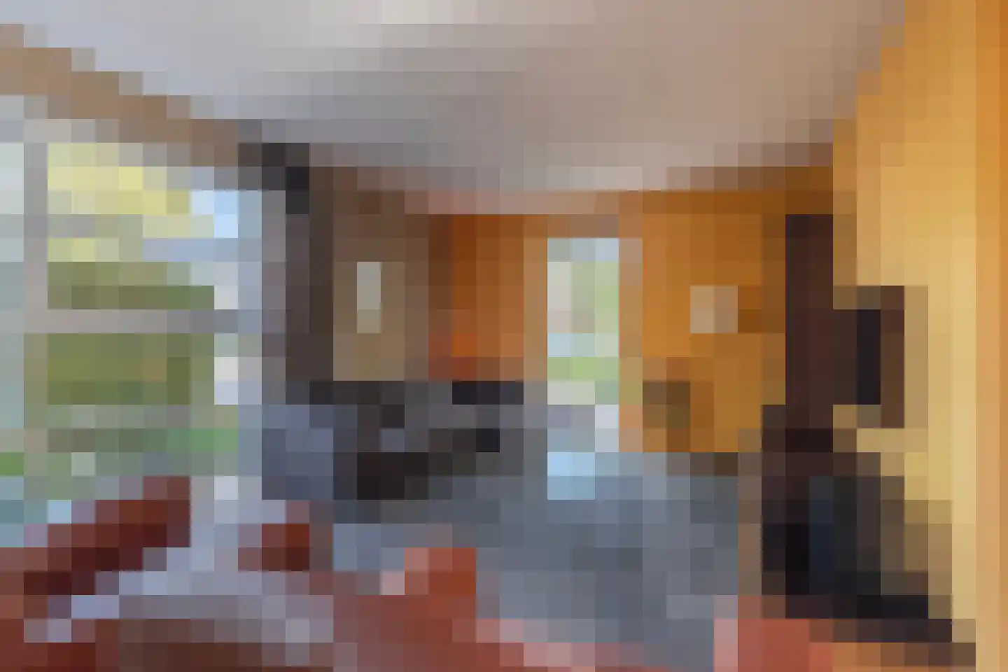 Sneeuwjacht 17 Elst thumbnail 11
