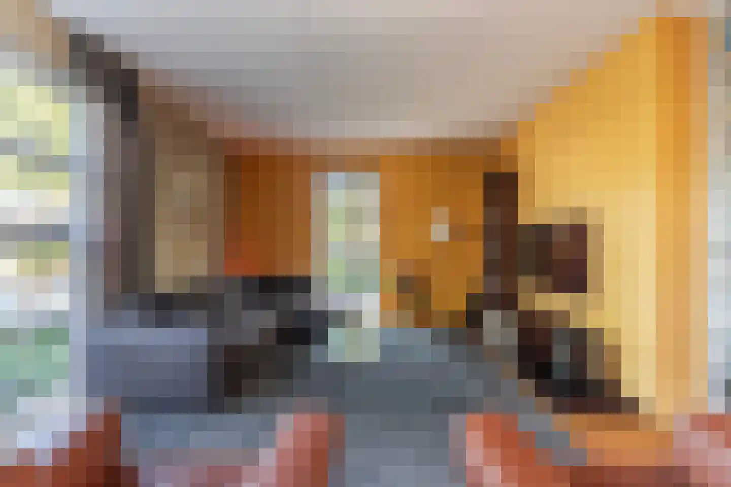 Sneeuwjacht 17 Elst thumbnail 12