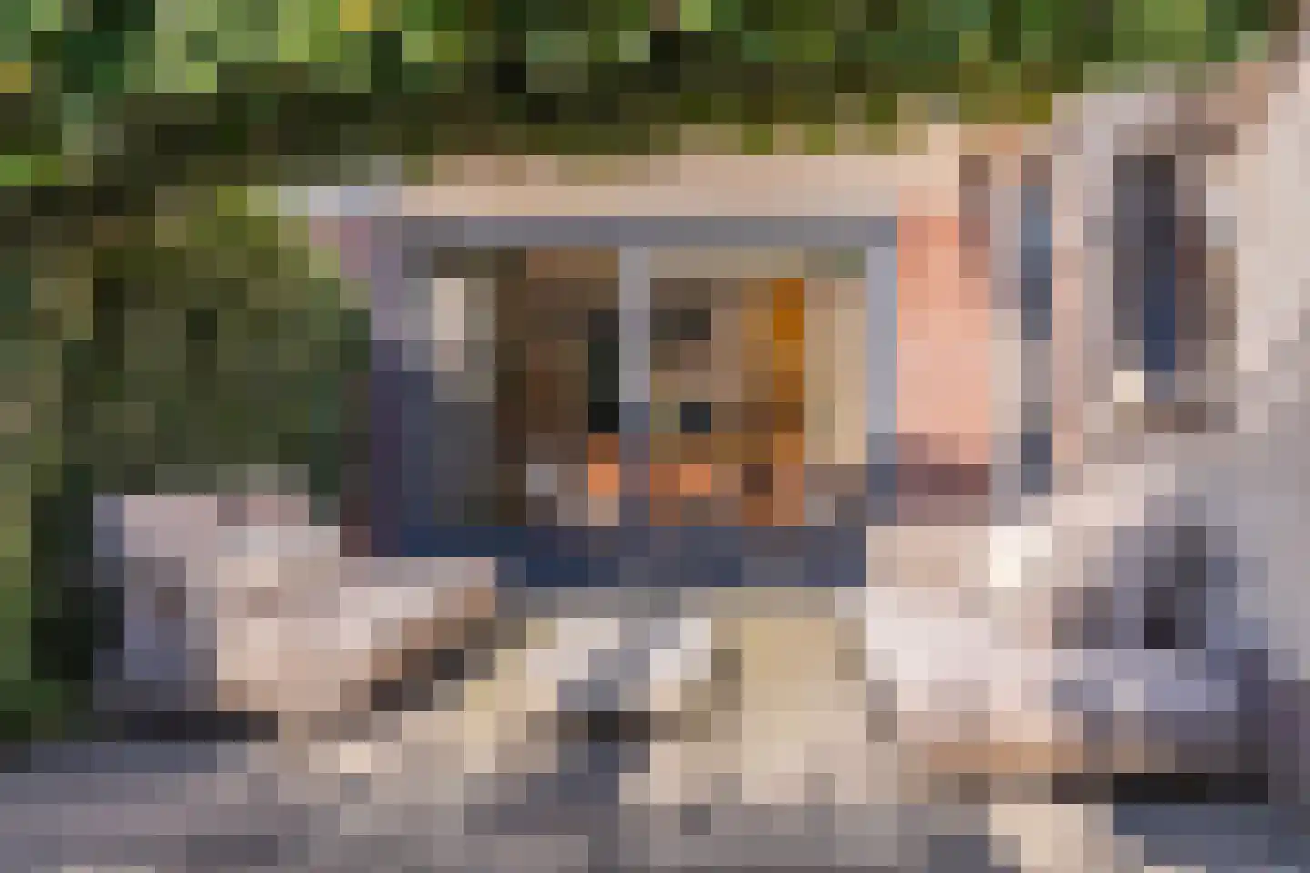 Sneeuwjacht 17 Elst thumbnail 21