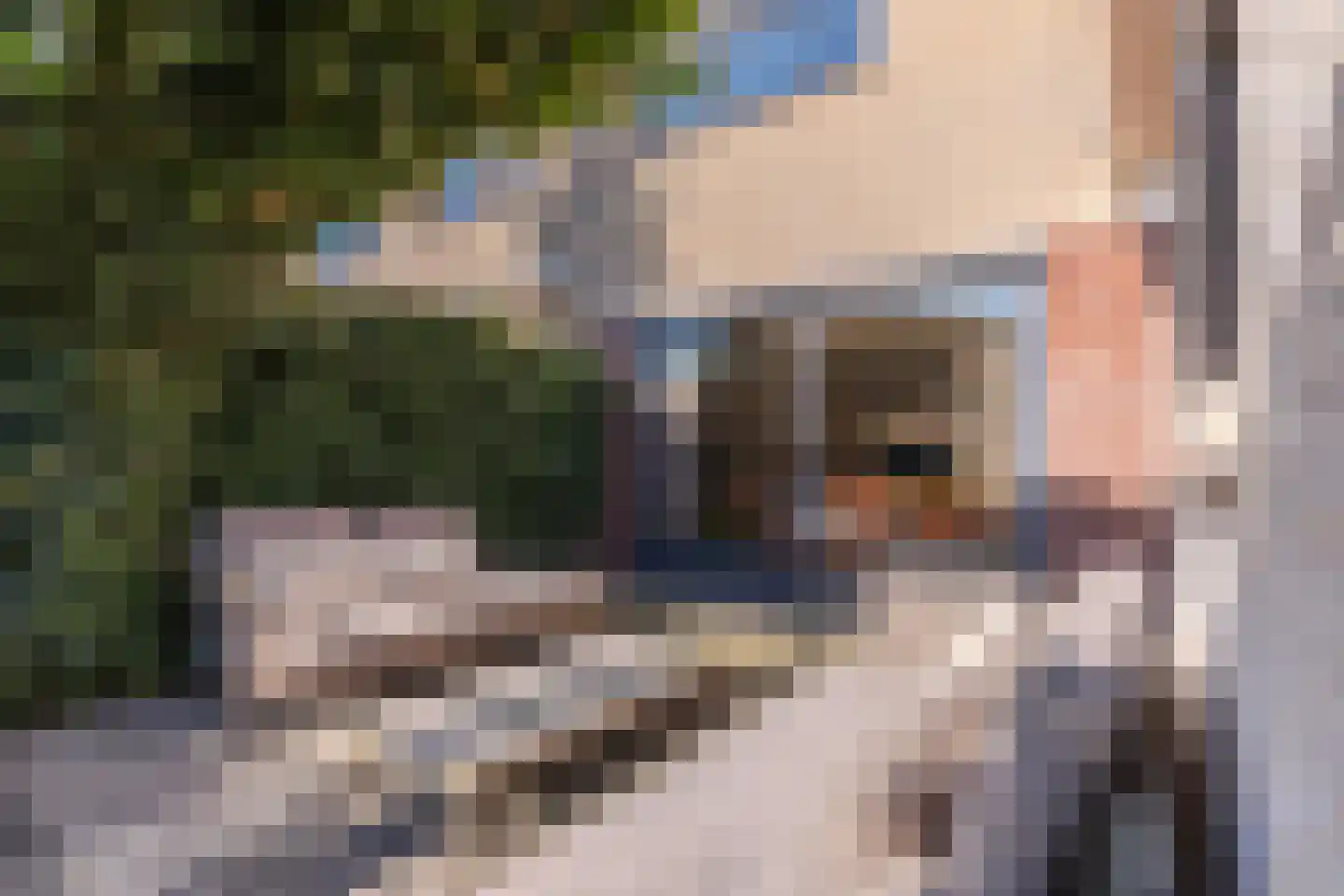 Sneeuwjacht 17 Elst thumbnail 22